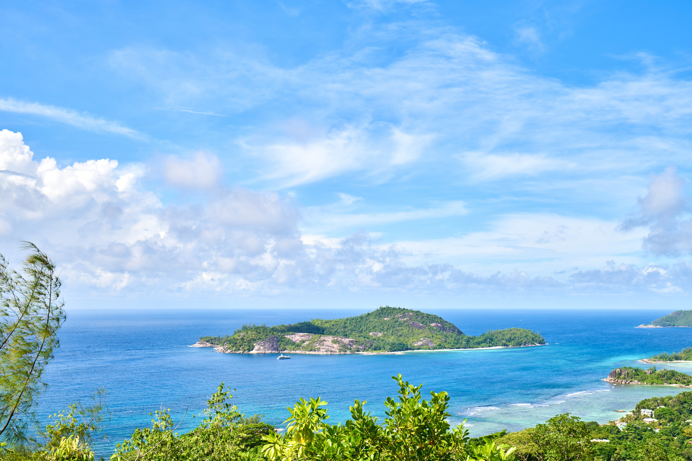 therese island.webp